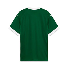 Pré - Venda Camisa Palmeiras Home 2025/26 versão Torcedor - Masculina - Verde