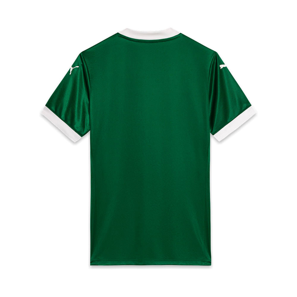 Pré-venda Camisa Palmeiras Home 2025/26 - Versão Jogador - Masculina - Verde