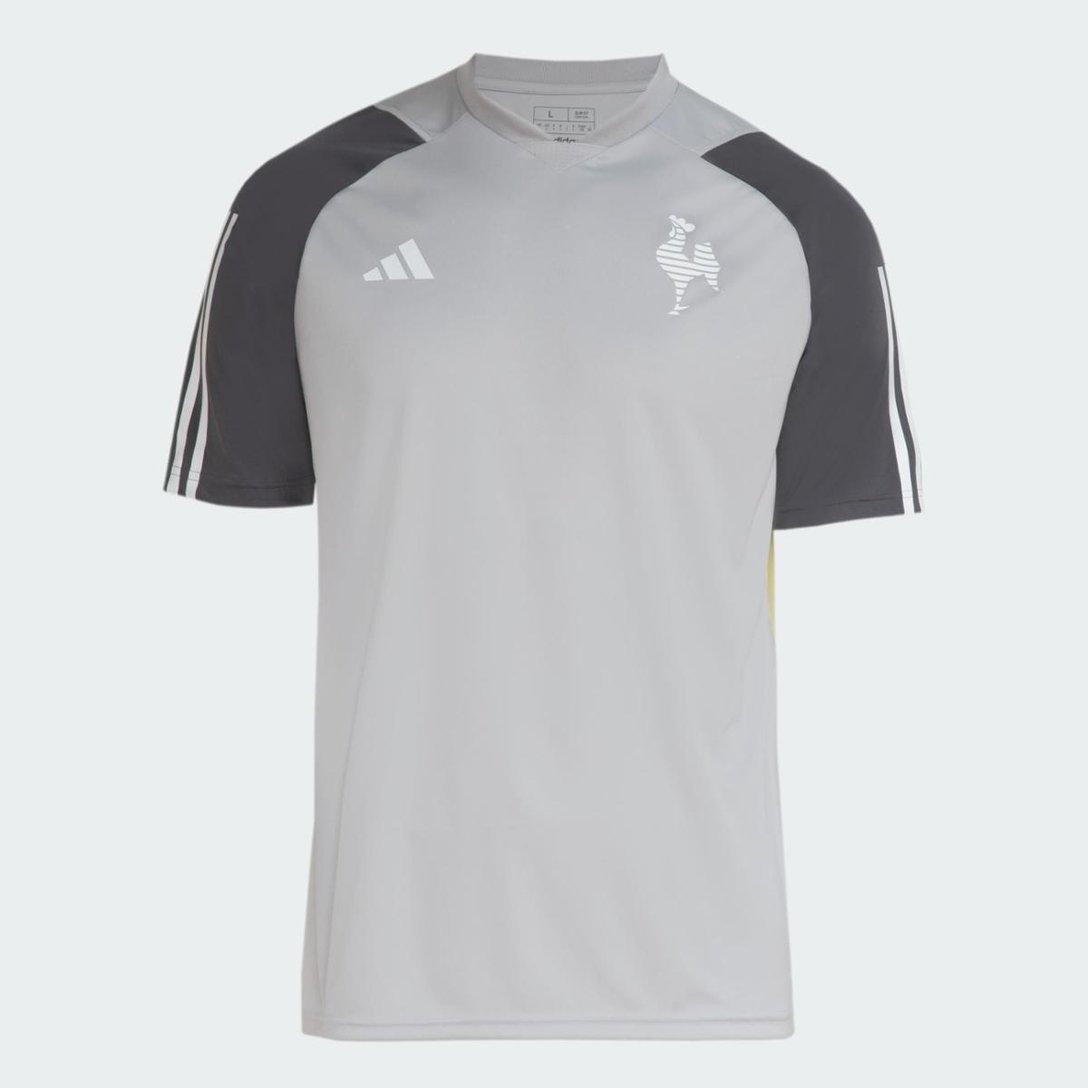 Camisa atletico mineiro treinamento ll 24/25 masculina