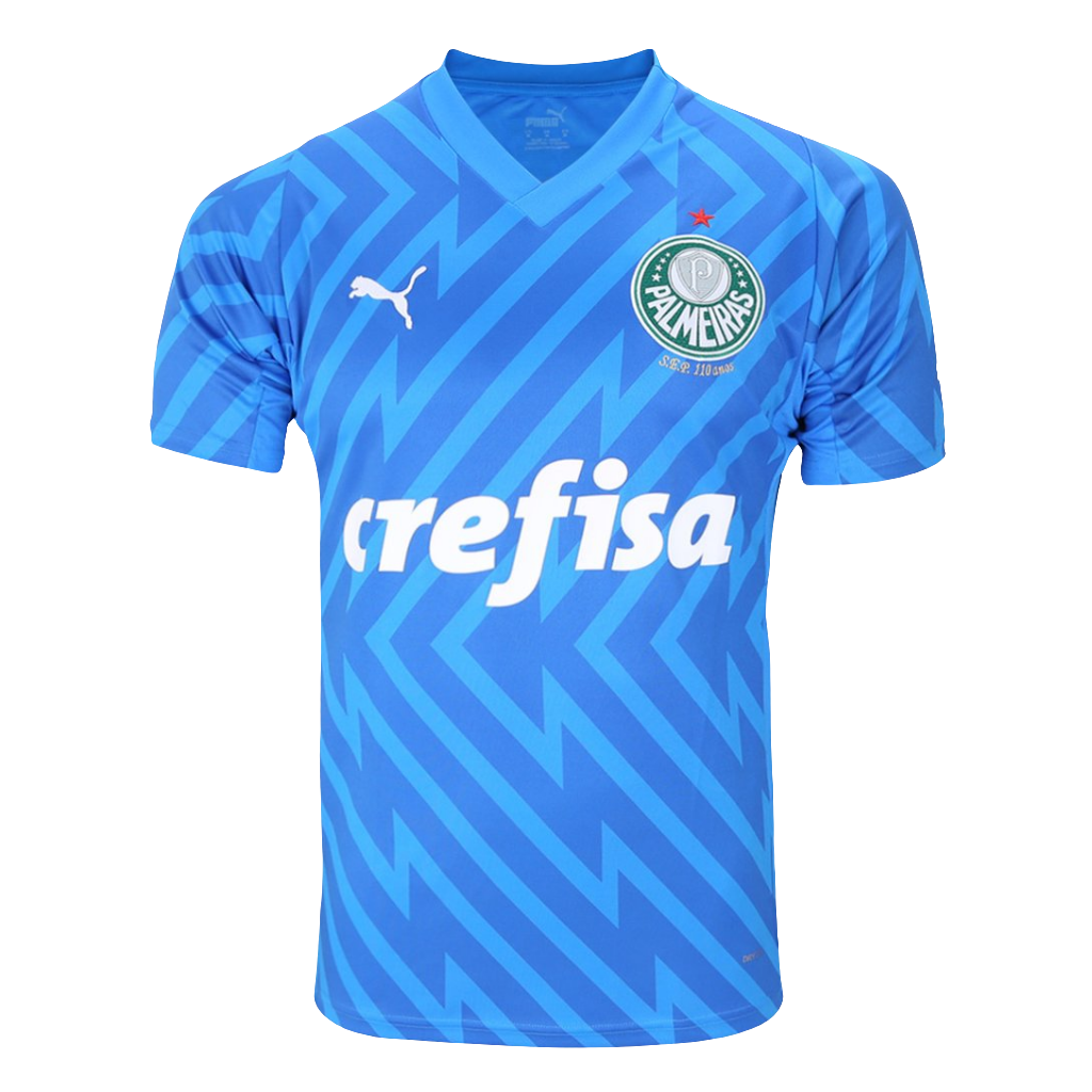 Camisa Palmeiras I 24/25 s/n° Goleiro Puma Masculina - Azul