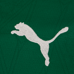 Camisa Palmeiras Home 2025/26 versão Torcedor - Masculina - Verde
